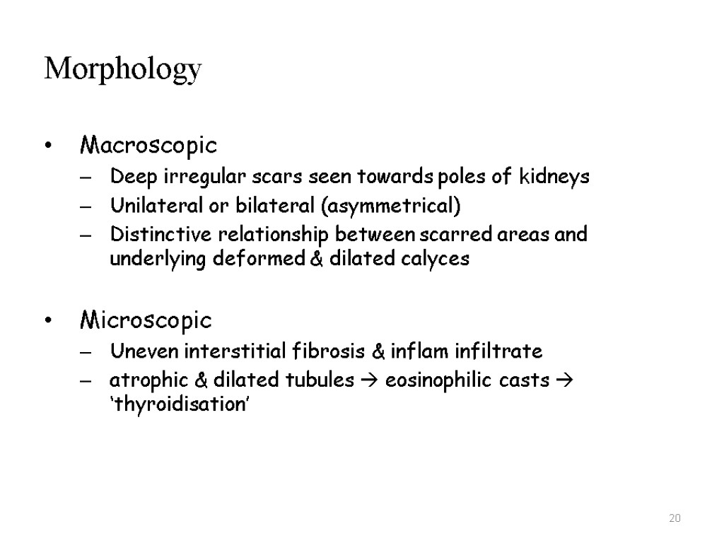 20 Morphology Macroscopic Deep irregular scars seen towards poles of kidneys Unilateral or bilateral